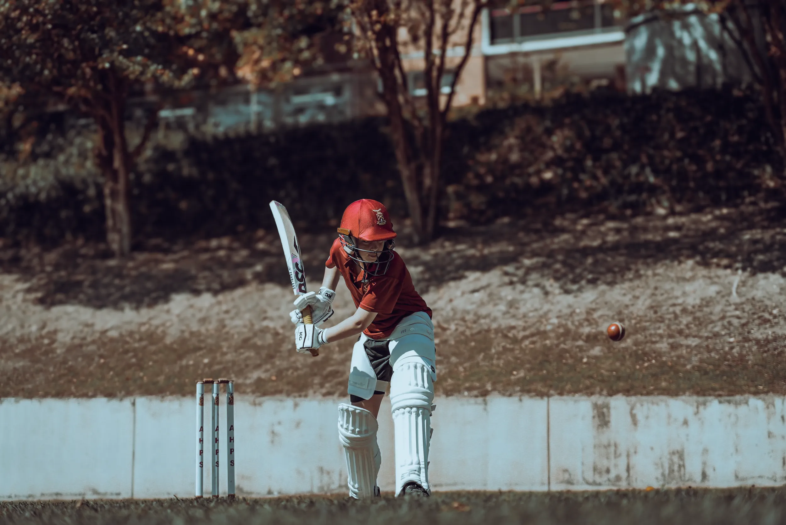 Cricket